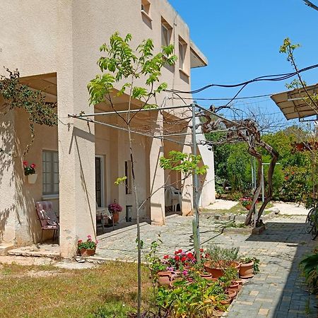 The Grapevine Guest House Paphos Kültér fotó
