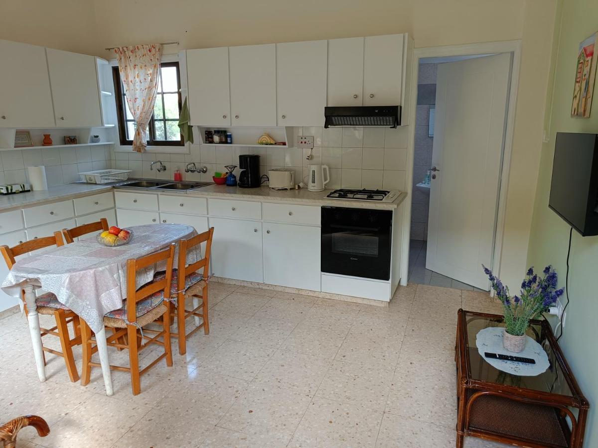 The Grapevine Guest House Paphos Kültér fotó